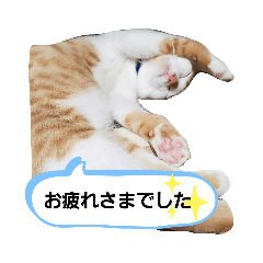 smile_20200523143820