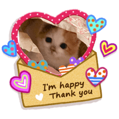 MiMi_Miya