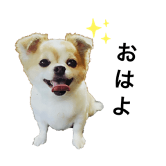 dog stamp cute ronchan1