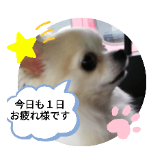 chi_20200523132912