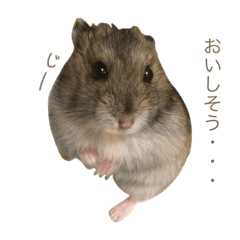 mizuki_20200523150645