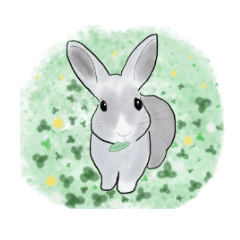 Furu-usa.rabbits