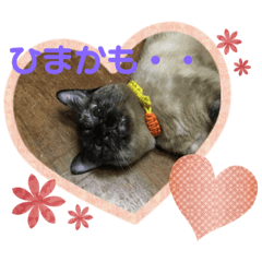 mimi_20200523081926