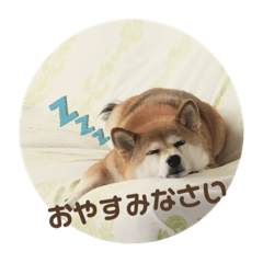 hana_20200523170353
