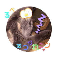 hana_nanahaha