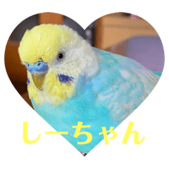 tomomi_20200523184207