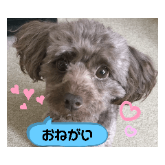 JaMes_20200523174305