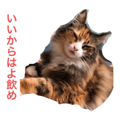 itsuki_20200523193229