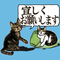 Sticker of a cats with a name as v & an