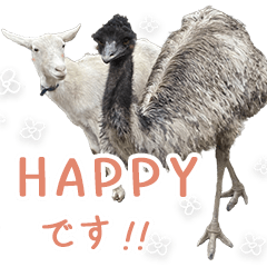 Emu and Goat