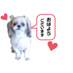 marina_20200523191534