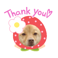 COCOA_20200523211150