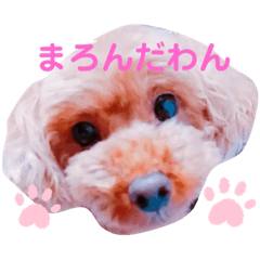 Rina_20200523225154
