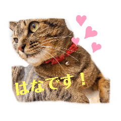 saya_20200523224636