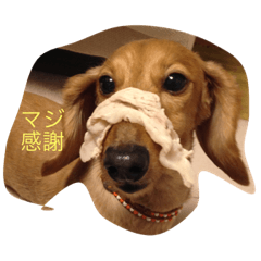 Hiroki_20200523212949