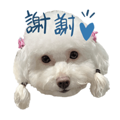 寶寶專屬❤️