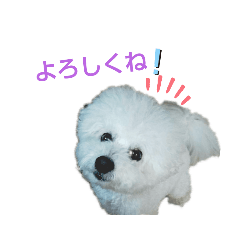 marina_20200523210854