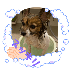 ASUKA_20200523210832