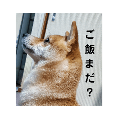 Nanami_20200523235229