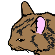 Ne-Ko Tom