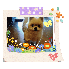 cocoa_20200523233252