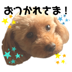 Risa_20200523235200