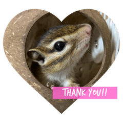 Asuka_20200524012246