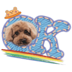 小寶尼