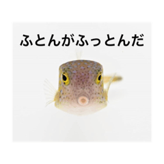 yun_20200524002517