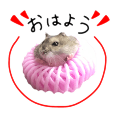 martie_20200523213623