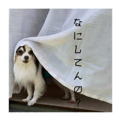 Risa_20200524015835