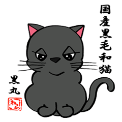 Japanese black cat KUROMARU.