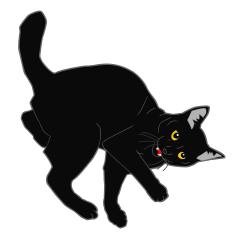 Rial-based black cat