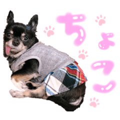 Nagisa_20200524112551