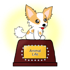 A day in animal life: Message sticker