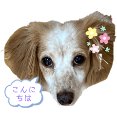 159357456258jJun