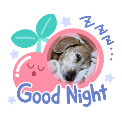 Yukari_20200524173614