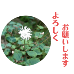 chibi_20200524201342