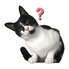 Yota no everyday sticker