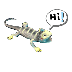 Lizard Animal