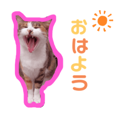 maeda.miiko.0303