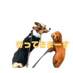 haruna_20200524212650