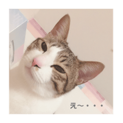 monmon_20200524125651