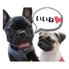 natsumi_20200524223316