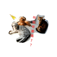 SU咪糖