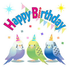 Trio parakeet (celebration)