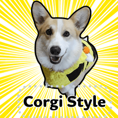 Lowrider Corgi's style