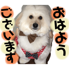 AYUU_Pet dog stamp7