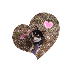 Kurumi_20200524224210