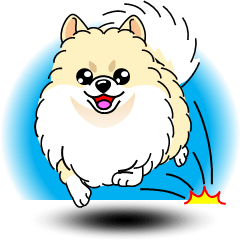 Cute Pomeranian dog